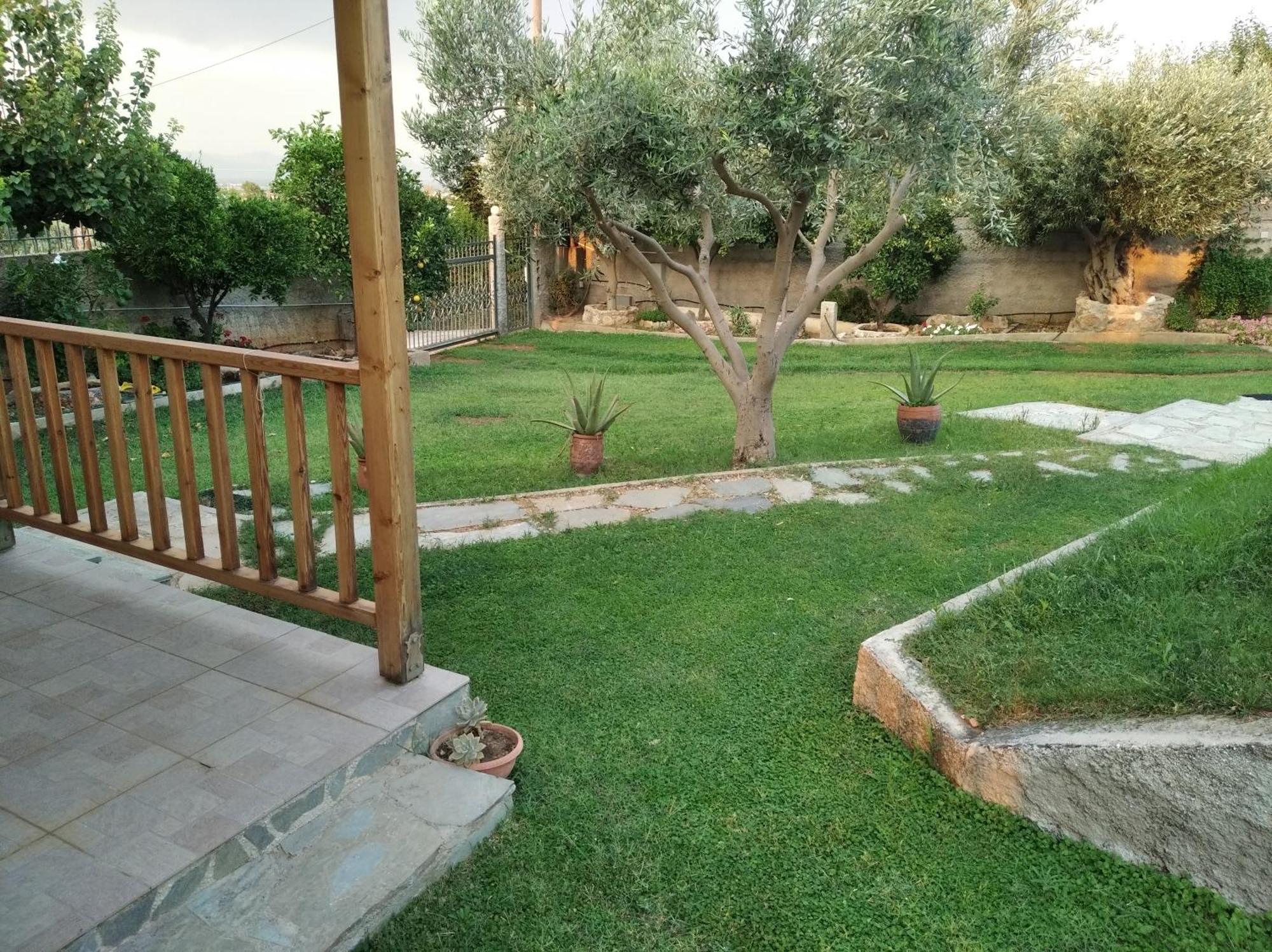 Willa Garden House-Free Transfer From Airport Artemida  Zewnętrze zdjęcie